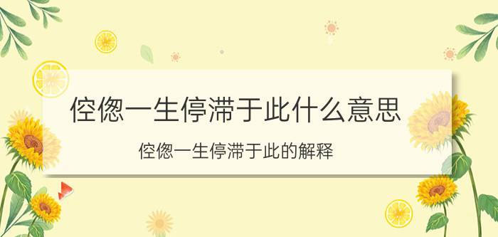 倥偬一生停滞于此什么意思 倥偬一生停滞于此的解释